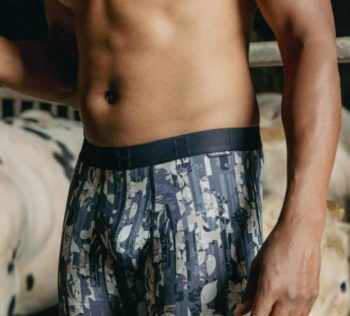 loic henry mauriac boxer